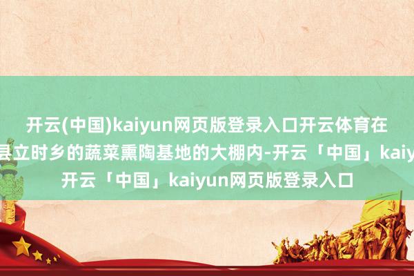 开云(中国)kaiyun网页版登录入口开云体育在河南省安阳市